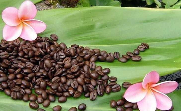 Hawaii Kona Coffee