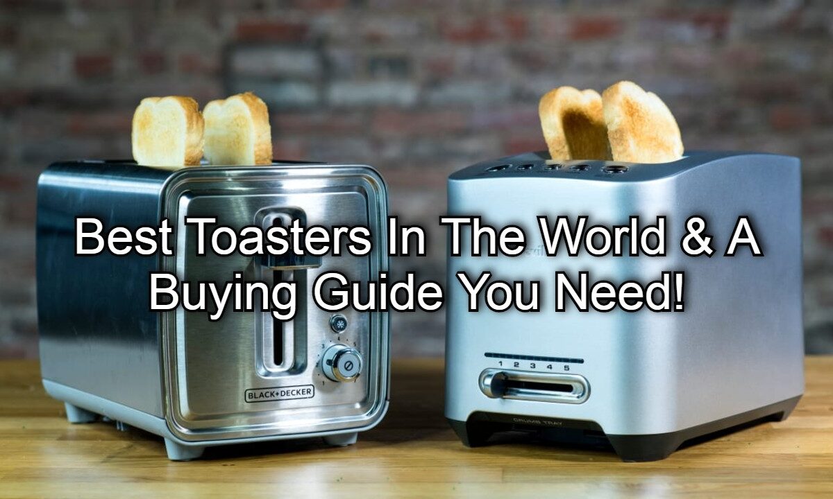 Best Toasters In The World & A Buying Guide You Need!